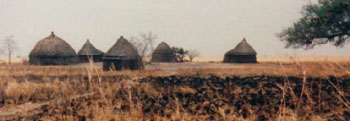 Web-Afrika-1983-21