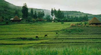 WAfrika2001-23