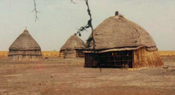 Web-Afrika-1983-23